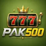 PAK500 Game