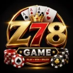 Z78 Game