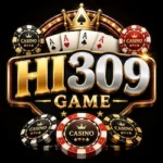 HI309 Game